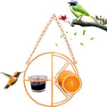 Outdoor Oasis Bird Haven: Vibrant Orange Bird Feeder And Water Station
