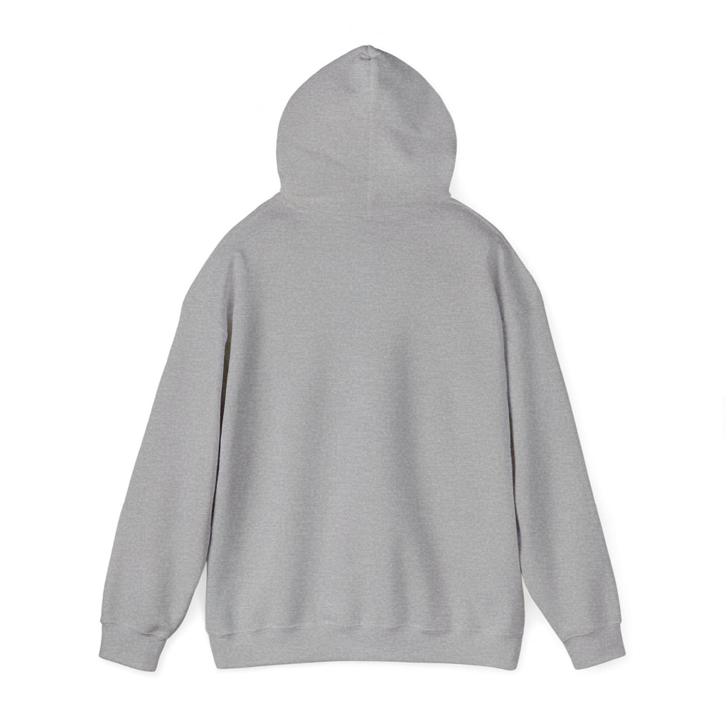 Cost of Living: DENIED Hoodie | budget humor, receipt aesthetic