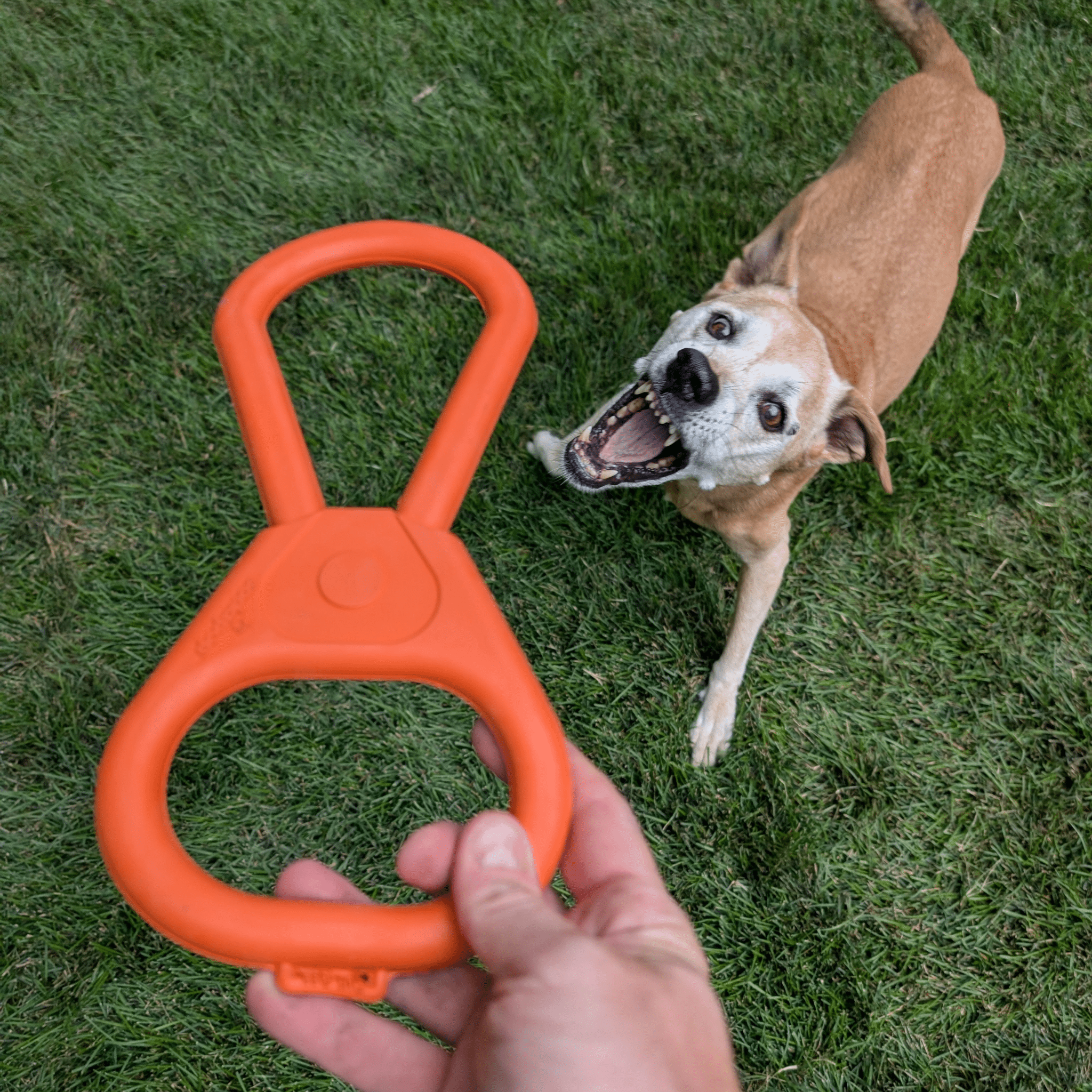 Tug Toys