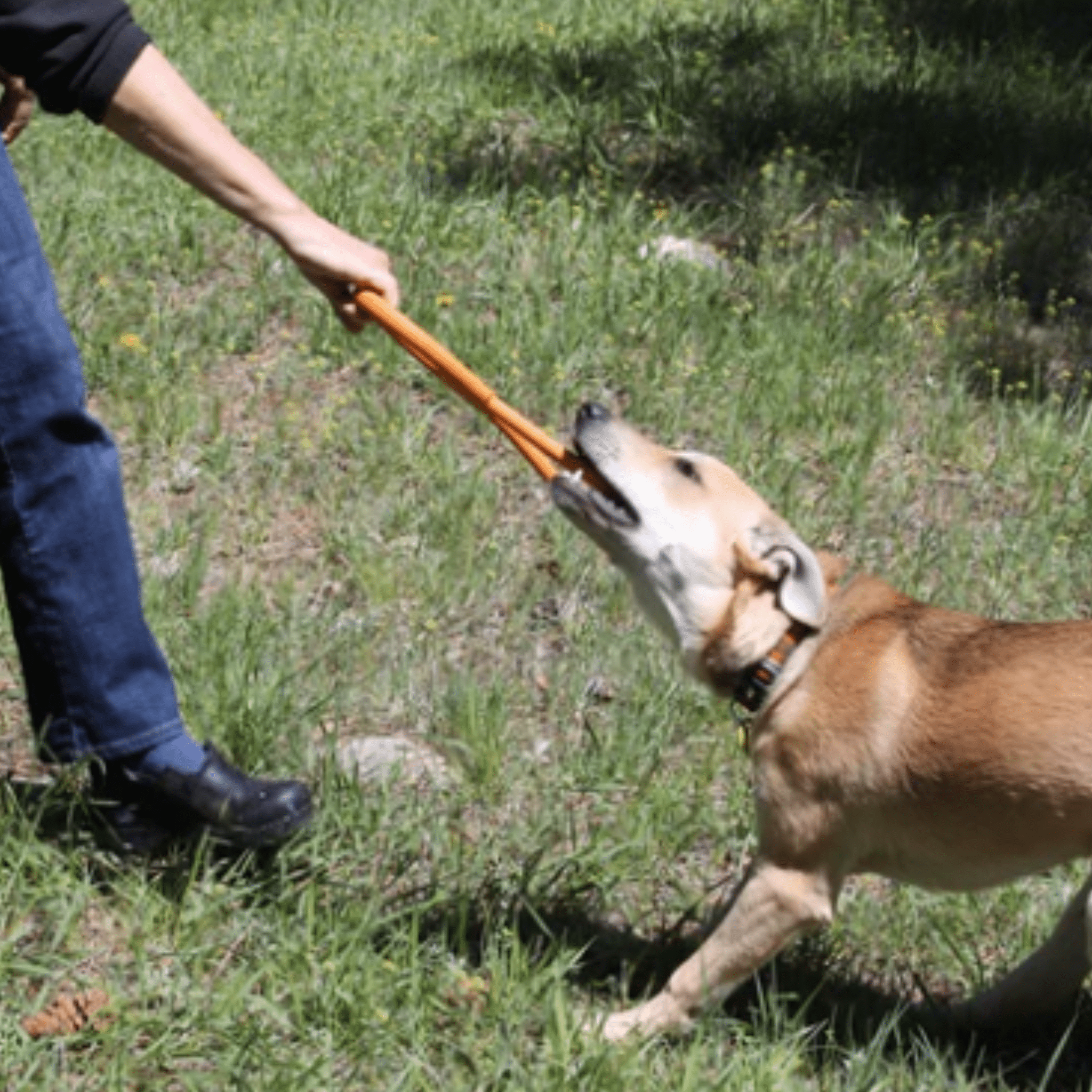 Tug Toys